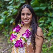 A colorful flower lei arranged as a garland.