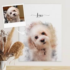 A friendly dog photographed as a household pet.
