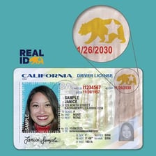 A driver’s license shown as an identification card.