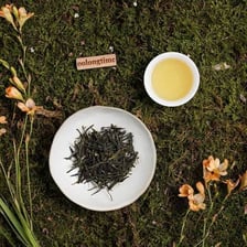 A cup of green tea beside loose tea leaves