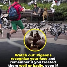 A person waving a hand to shoo a bird away.