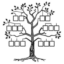 A family tree chart showing branching generations