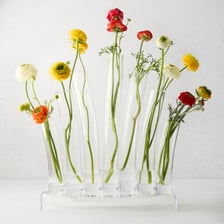 Several vases holding fresh flowers