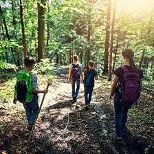 Hikers walking along a trail through the woods.