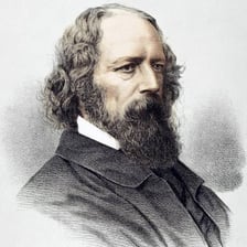 A portrait of poet Alfred, Lord Tennyson, associated with the quoted line.