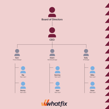 A diagram showing one person’s area of authority within an organization