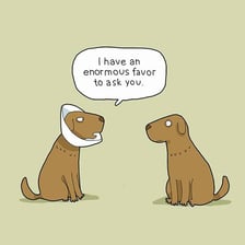 A person making an important request of someone else.