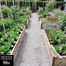 A small home garden containing potted culinary herbs.