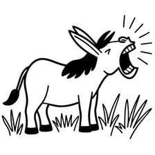 A donkey braying in a field.