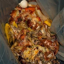 A pile of spoiled food and garbage.