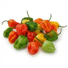 Bright orange habanero peppers prepared as a salsa ingredient