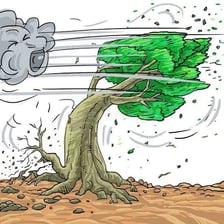 Trees bending in a strong gust of wind