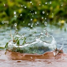 A raindrop striking a puddle and making a small splash.