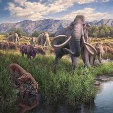 A prehistoric cold landscape with woolly mammoths and glacial ice