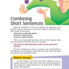 A short, concise sentence displayed as an example of terse writing.