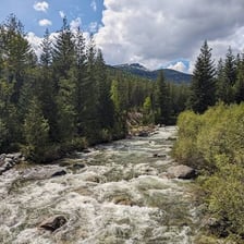 A forested landscape in Idaho’s panhandle.