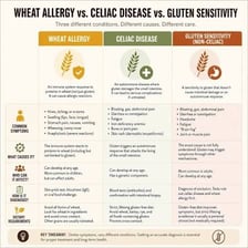 Wheat stalks, the source of gluten that people with celiac disease avoid.