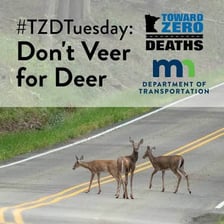 A car changing direction on a road to avoid a deer.