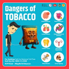 An educational illustration depicting a chew of tobacco