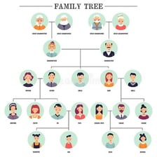 A family-tree diagram showing the relationship of a great-niece or great-nephew.