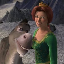 Princess Fiona and Donkey together in a scene from Shrek.