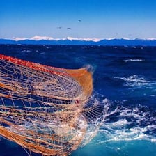 A fishing trawler pulling a large net through the sea