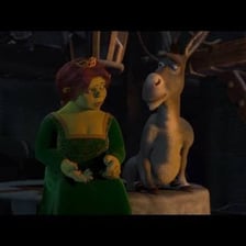 Shrek and Fiona standing with Donkey in the Shrek films
