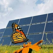 Rows of solar panels representing a solar-powered era