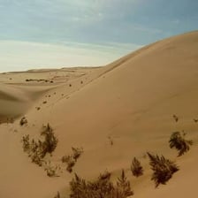 Arid landscape in the Gobi Desert of Mongolia or China
