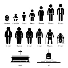 Illustration showing a person at different ages