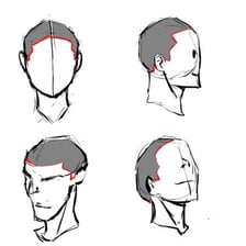 Illustration showing hair divided by a part line