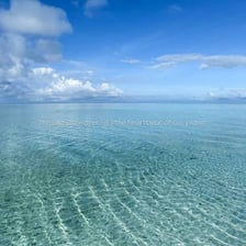 A wide expanse of salt water extending to the horizon.