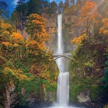 An Oregon landscape with mountains and evergreen forest