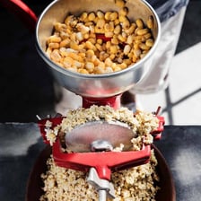 Corn kernels and freshly ground masa.