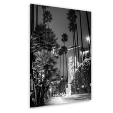 A palm-lined street in Beverly Hills, California