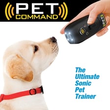 A dog releasing a toy during obedience training