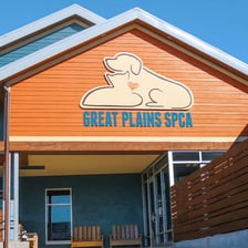 A pet adoption center associated with an SPCA
