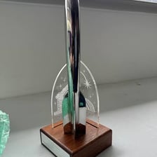 Trophies representing the Hugo and Edgar literary awards.
