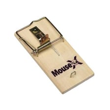 A traditional spring-loaded wooden mouse trap