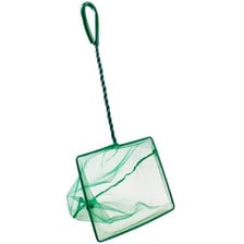 A small mesh net with a handle rests beside an aquarium.