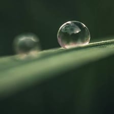 Single bead of water photographed close up.