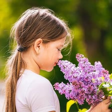 Flowers and spices commonly associated with a noticeable aroma
