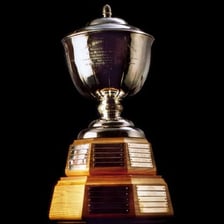 The NHL Norris Trophy awarded to a hockey defenseman