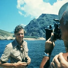 Nature-documentary scene associated with popular science programming