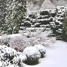 A landscape covered by a blanket of fresh snow
