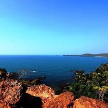 A beach and palm-lined coastline in Goa, India