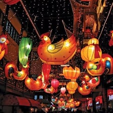 Lanterns displayed during a Lunar New Year celebration.