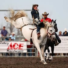 A horse bucking upward with a rider.