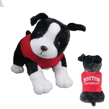 Boston University’s Terrier mascot in school colors.