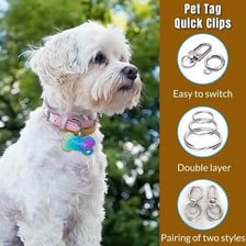 Small identification tag attached to a dog collar